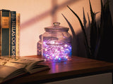 NEXSMART™ SMART LED STRING LIGHTS - 2