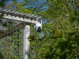 NEXSMART™ PATROL2 4G + PANNEAU SOLAIRE PAQUET