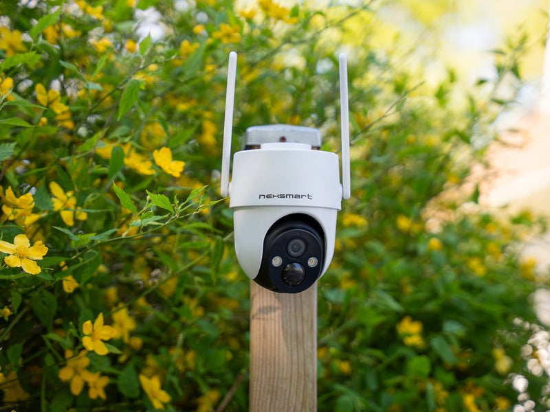 NEXSMART™ PATROL2 4G + PANNEAU SOLAIRE PAQUET