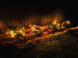 NEXSMART™ SMART LED STRING LIGHTS - 3