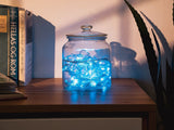 NEXSMART™ SMART LED STRING LIGHTS - 4