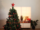 NEXSMART™ SMART LED STRING LIGHTS - 10
